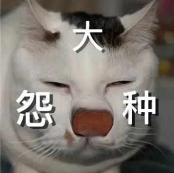 ��ԩ��ʲô��˼��� ԩ�ֽ��ù������������